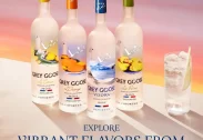 Grey Goose La Orange Flavored Vodka