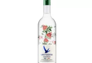 GREY GOOSE® Essences Watermelon & Basil