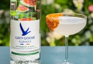 GREY GOOSE® Essences Watermelon & Basil