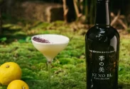 Kinobi Kyoto Dry Gin 