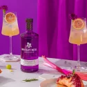 Whitley Neill Rhubarb & Ginger Gin