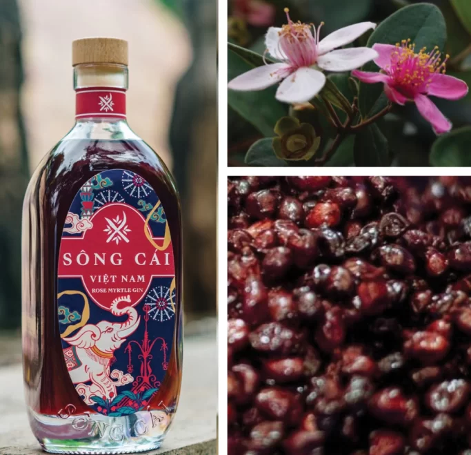 SÔNG CÁI ROSE GIN 
